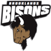 Brooklands Bison logo